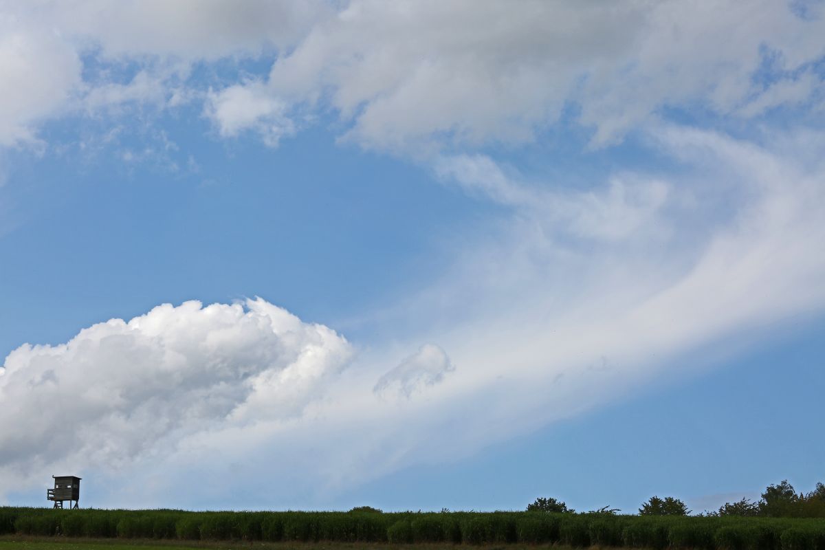 Wolkenkuckucksheim