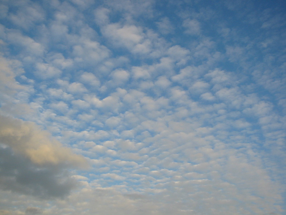 Wolkenkunst