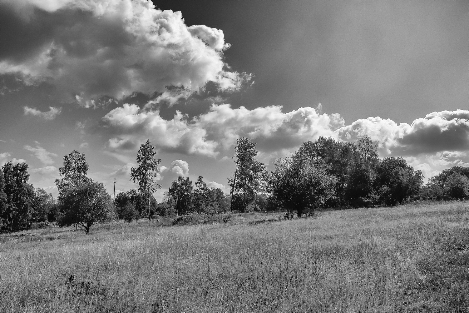 Wolkenland