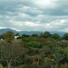 Wolkenland-Kakteenlandschaft