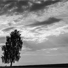 Wolkenlandschaft