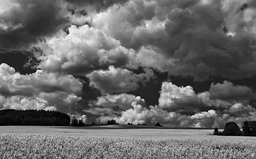 Wolkenlandschaft