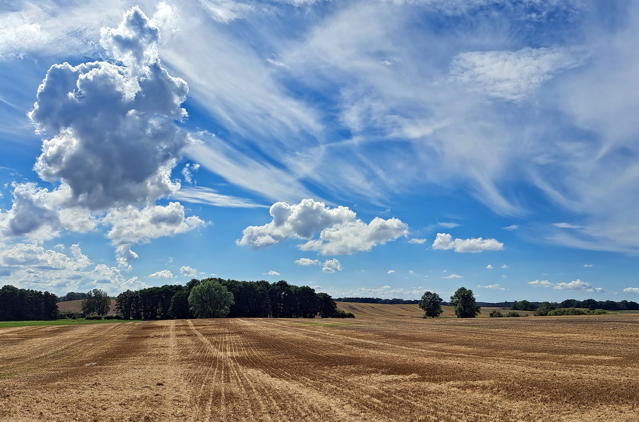 Wolkenlandschaft über das abgeernteter Feld