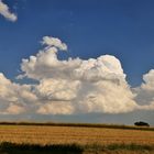 Wolkenlandschaft über den abgeernteten Feldern