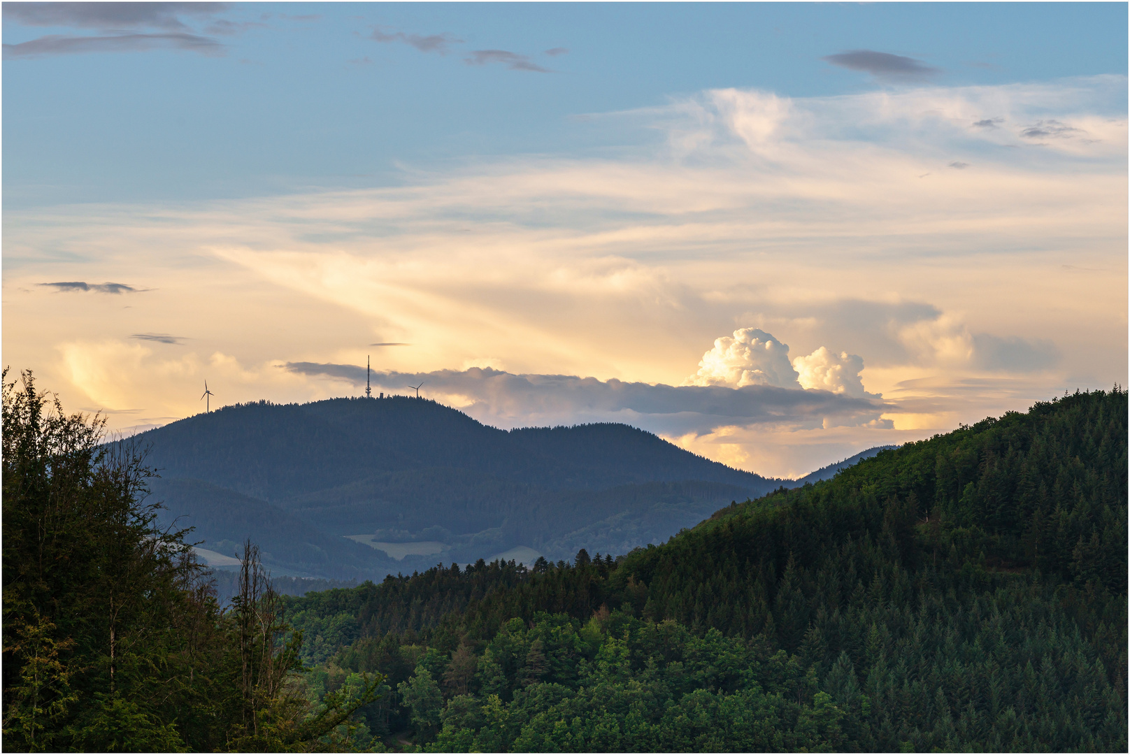 Wolkenleben