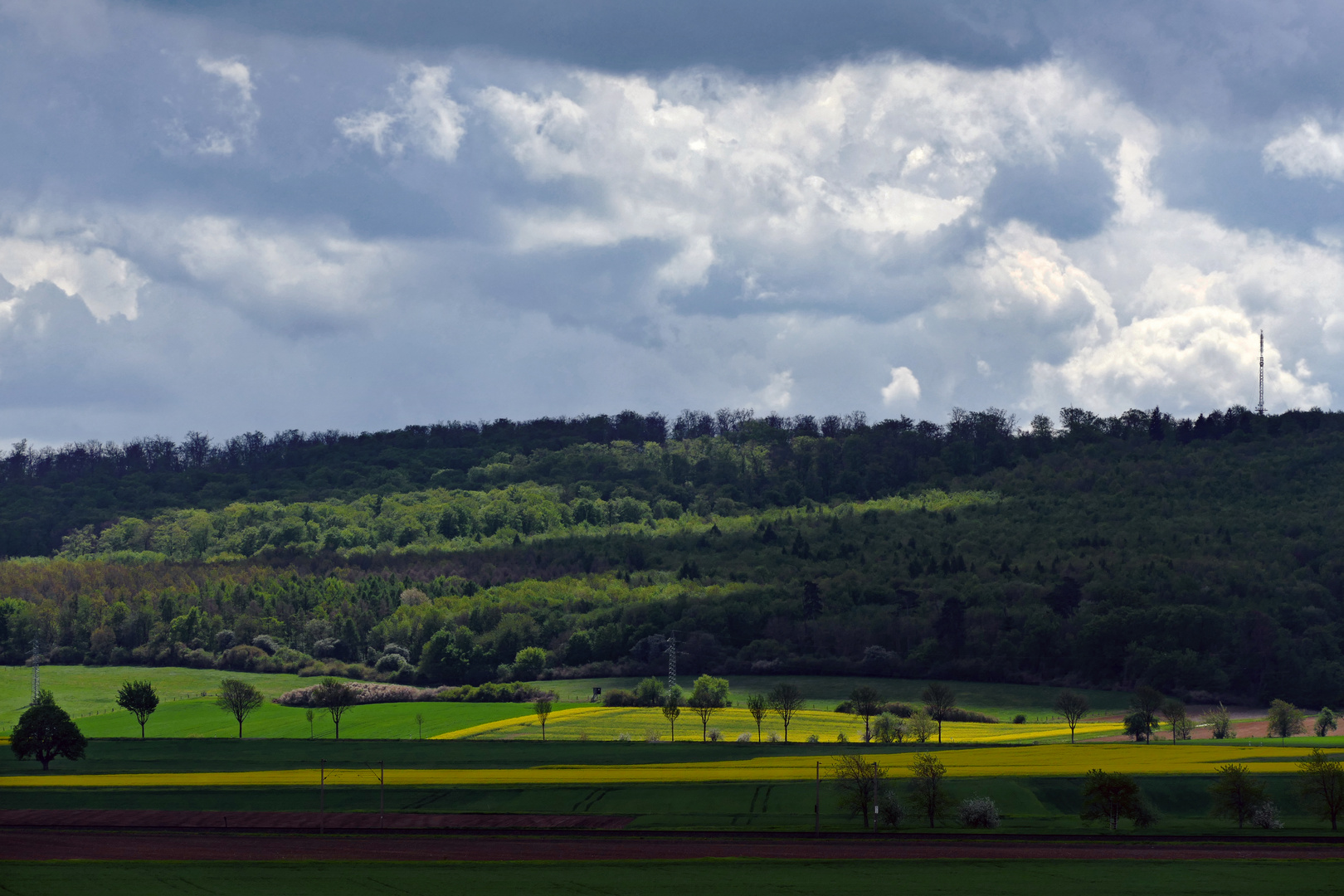 Wolkenloch überm Rapsfeld