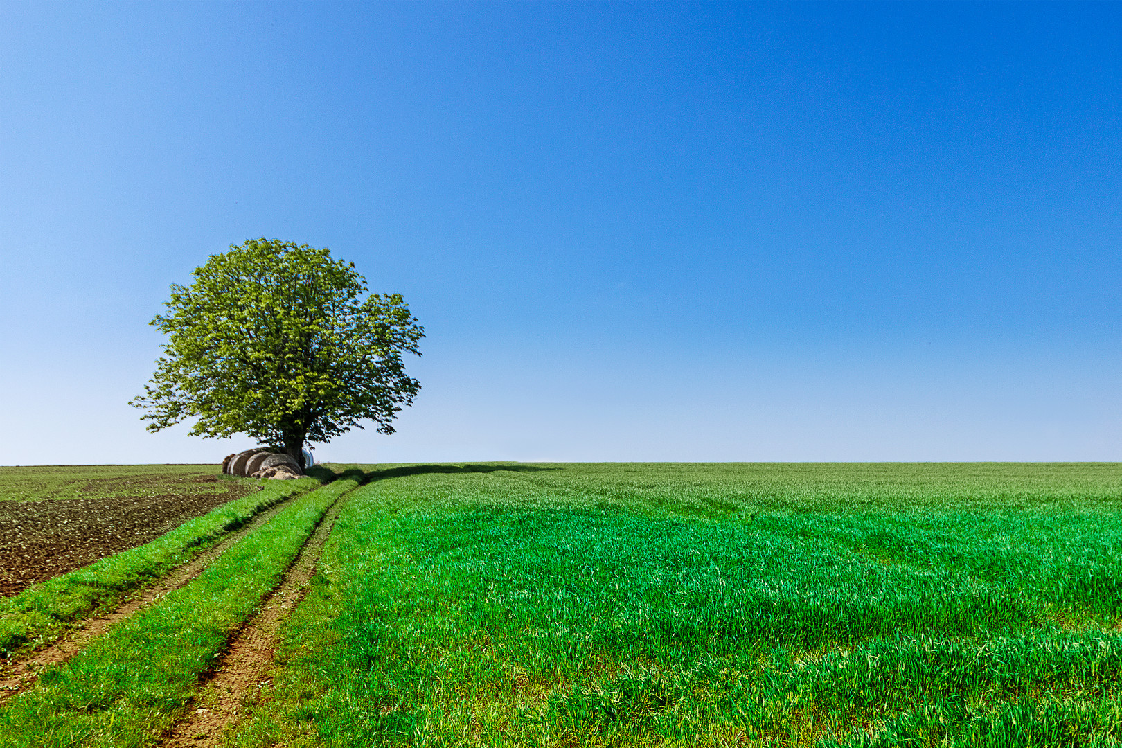 Wolkenlos Foto & Bild landschaft, Äcker, felder & wiesen, natur