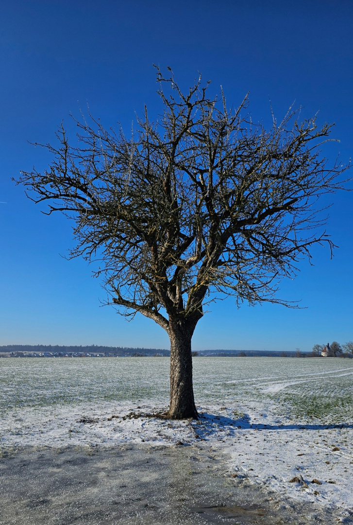 Wolkenlos