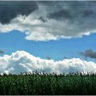 Wolkenlücken ...