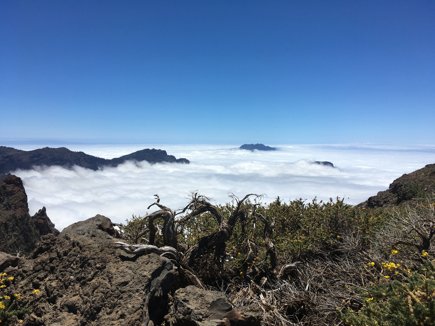 Wolkenmeer 2 Roque de los Muchachos la Palma