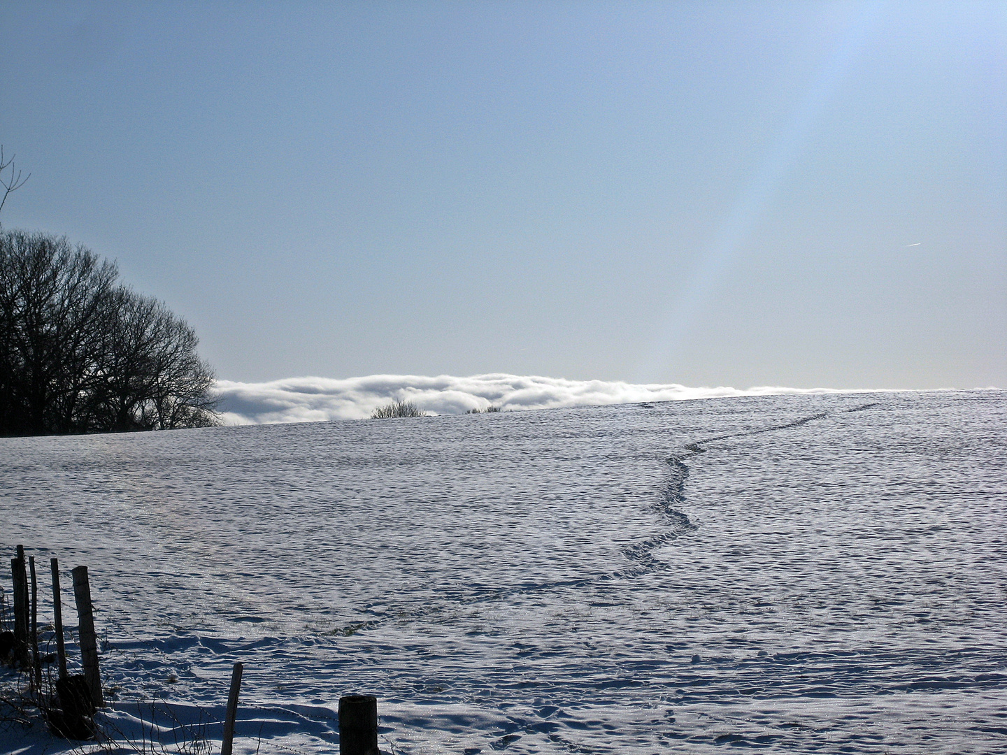 Wolkenmeer