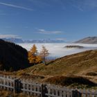 Wolkenmeer im Herbst