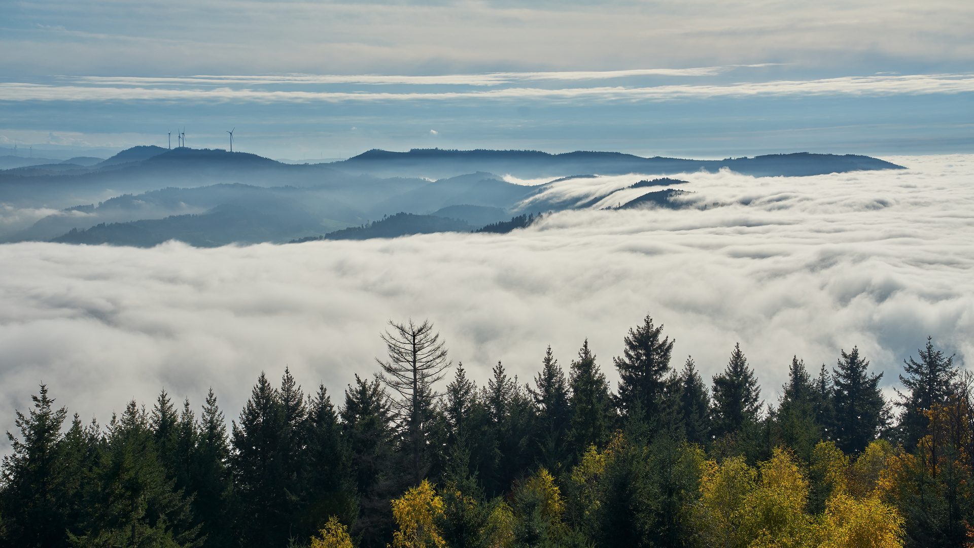 Wolkenmeer im Kinzigtal