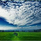 Wolkenmeer (IMG_3219(