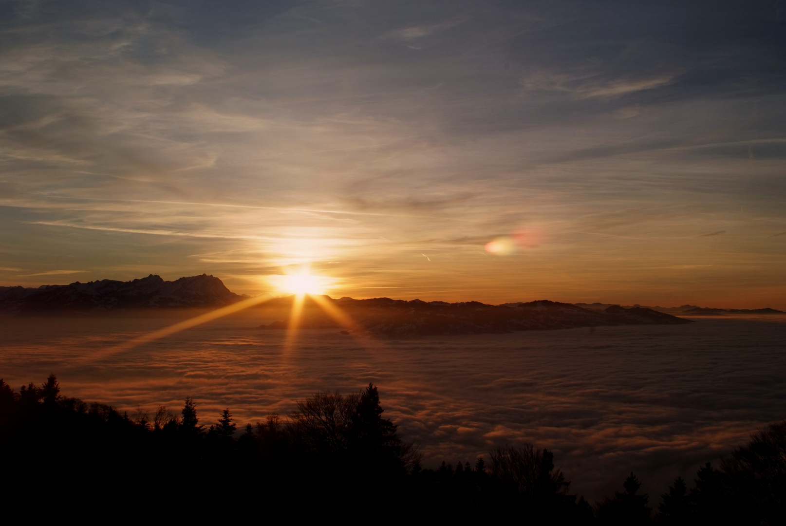 Wolkenmeer über Bregenz