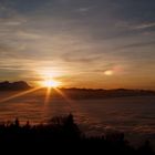 Wolkenmeer über Bregenz