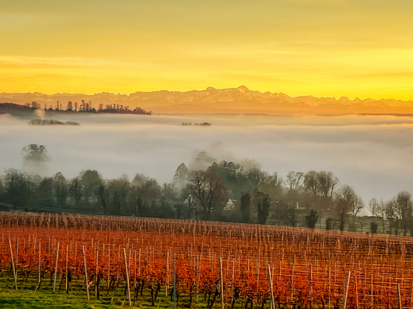 Wolkenmeer über dem Bodensee