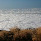 Wolkenmeer über La Orotava
