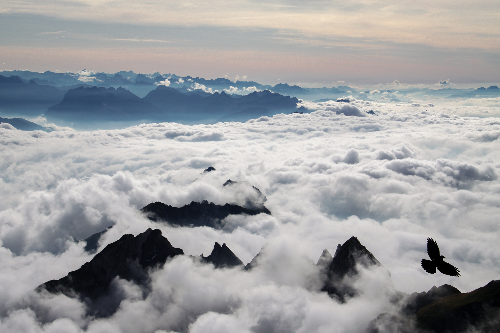 Wolkenmeer unter dem Säntis