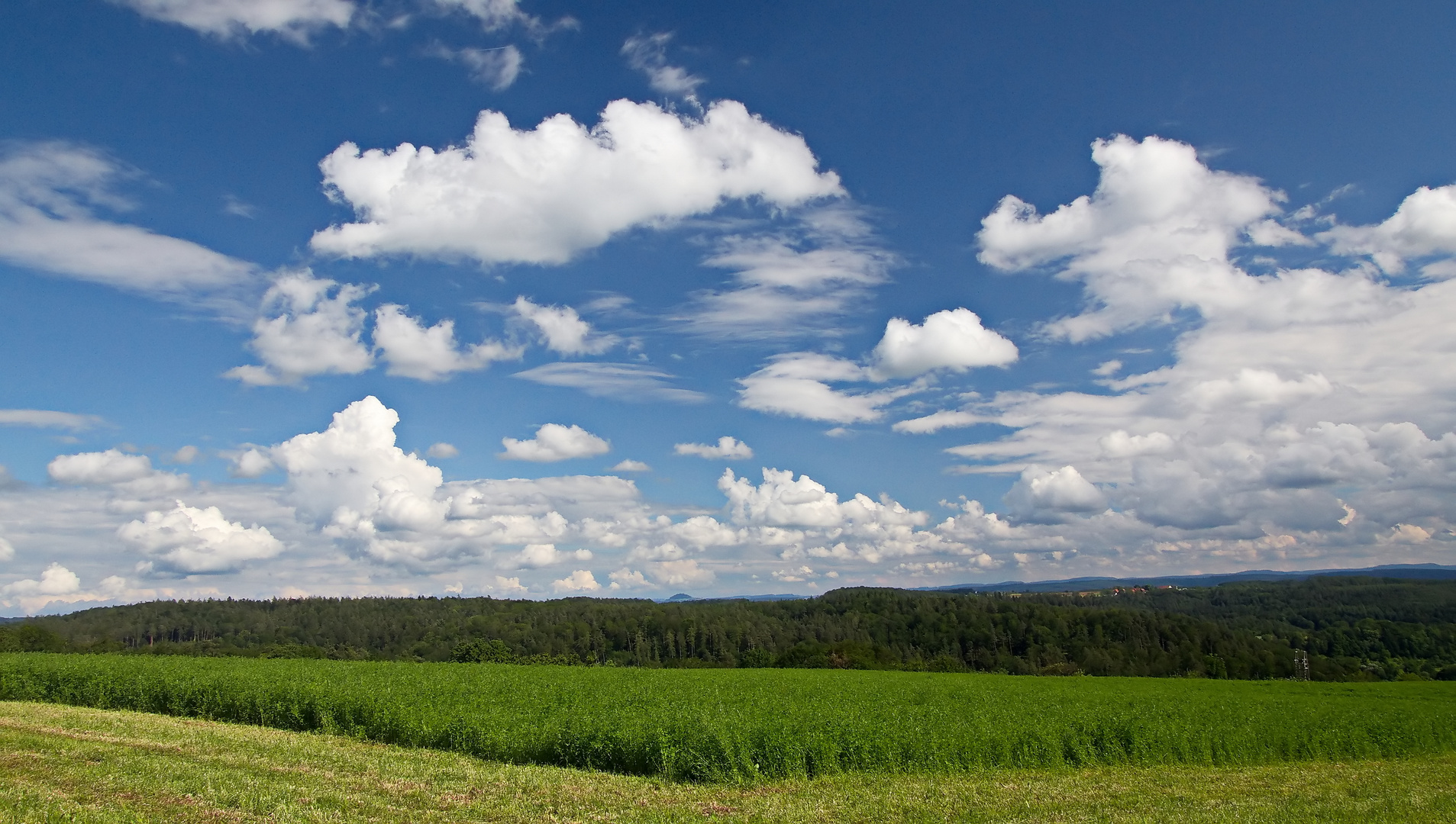 Wolken,nichts als Wolken...