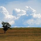 Wolkenpanorama