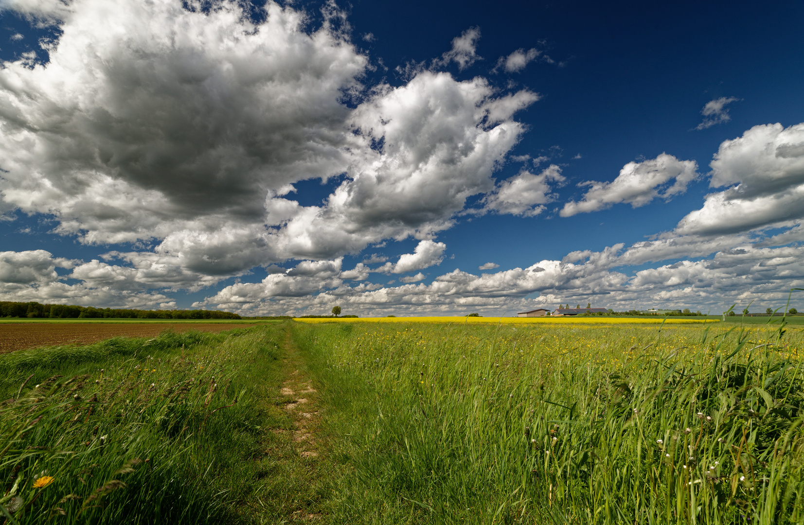 Wolkenpanorama