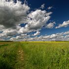 Wolkenpanorama