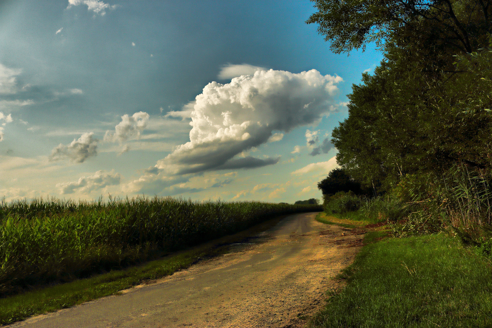 Wolkenpfad