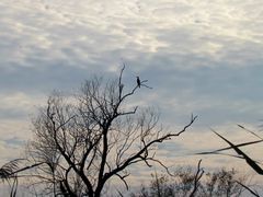 Wolkenpolster