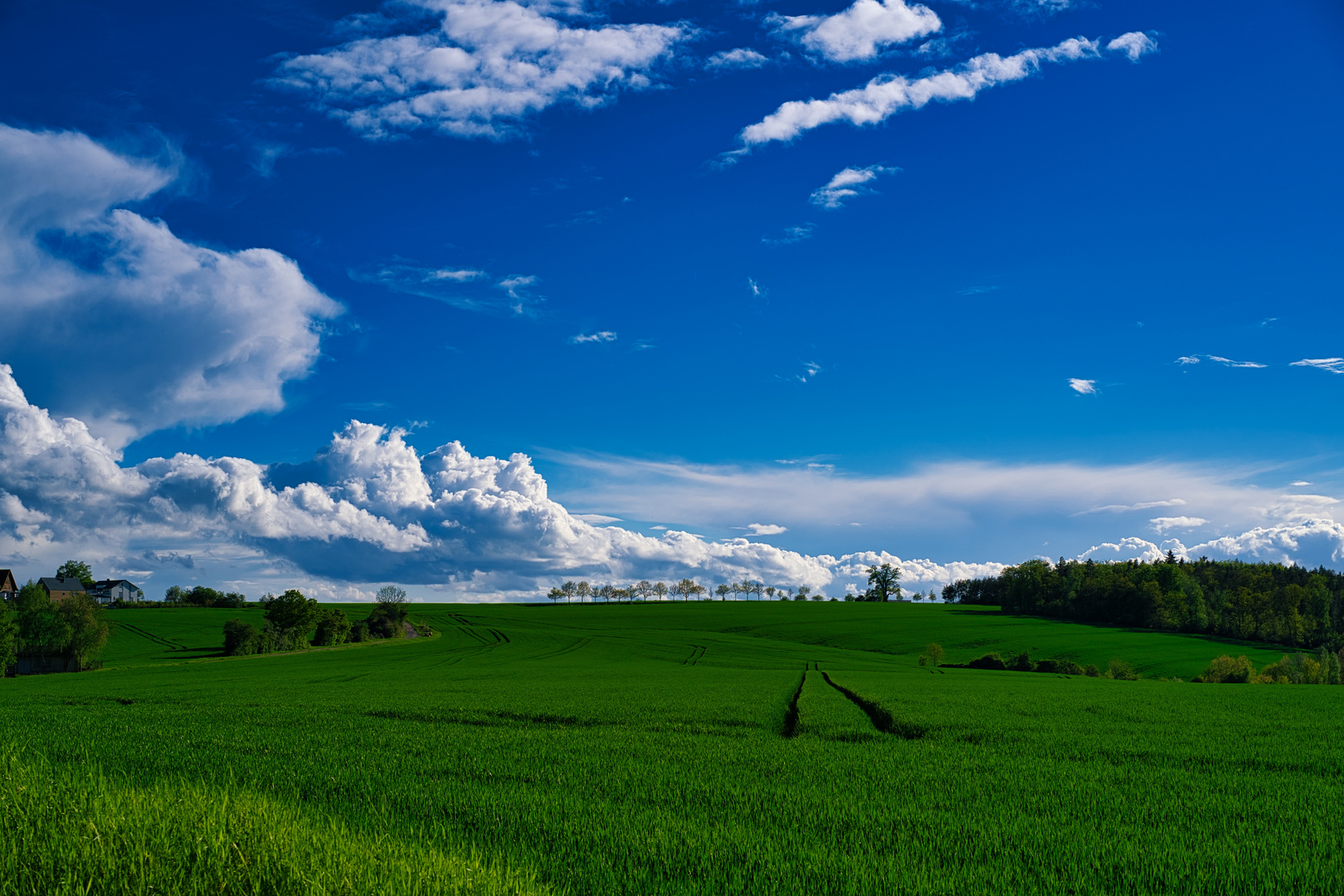 Wolkenpracht über den Feldern