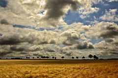 wolkenreich