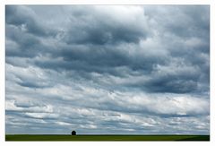 Wolkenreich