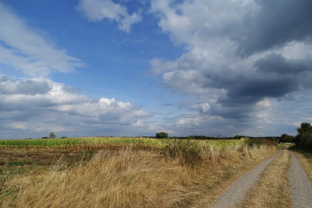 Wolkenreise