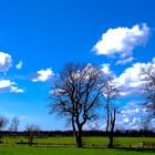 Wolkenreise 