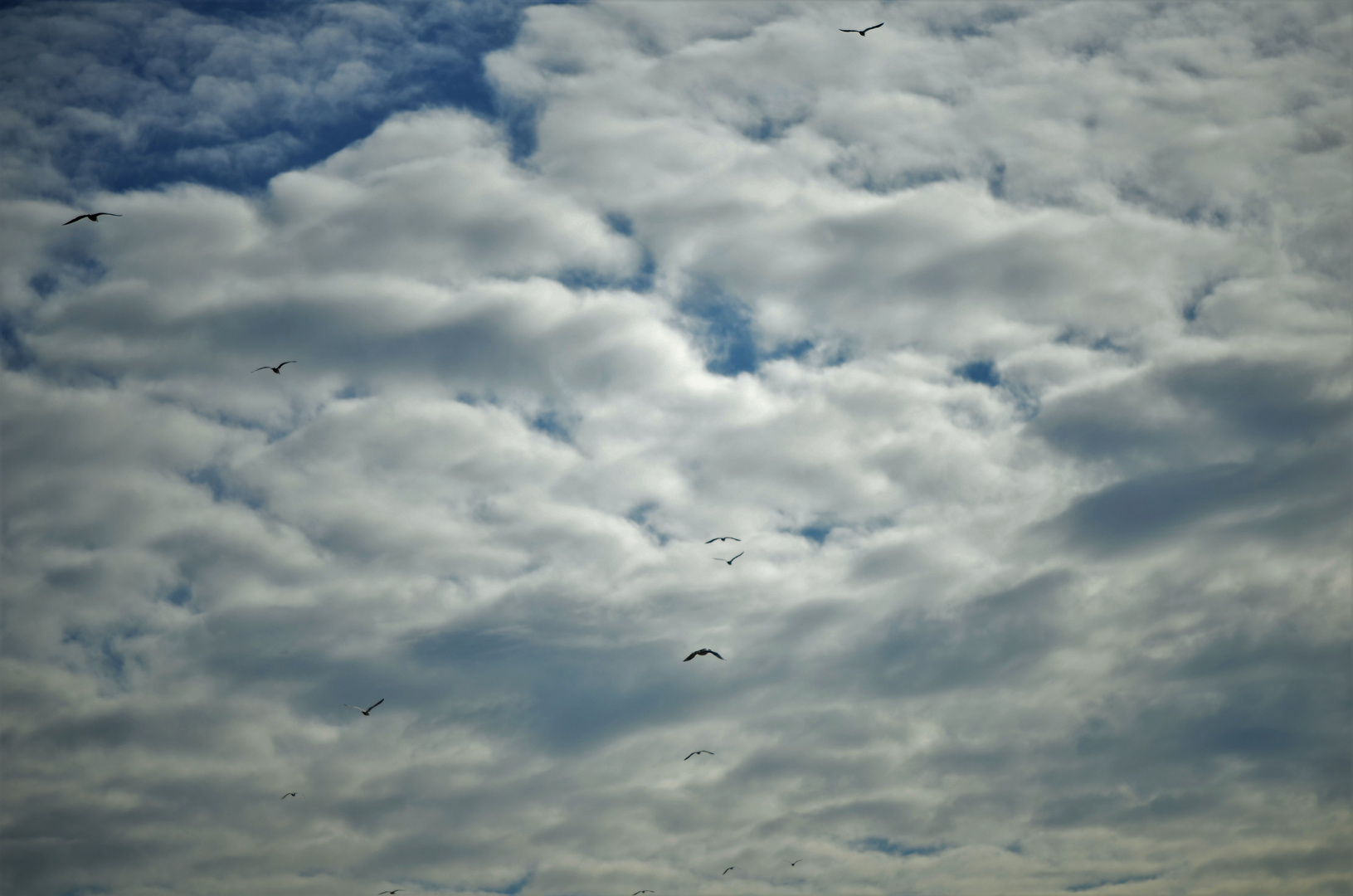 Wolkenreise....