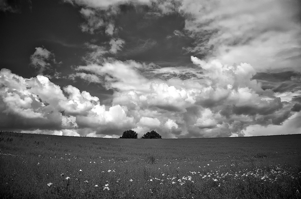 Wolkensaison