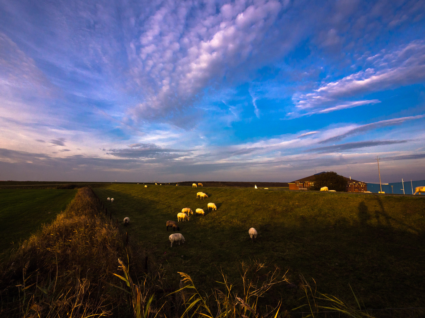 Wolkenschäfchen