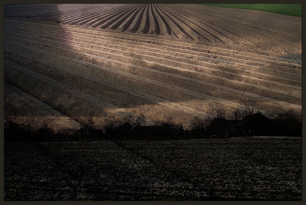 Wolkenschatten über dem Acker