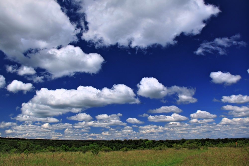 Wolkenschau (1)