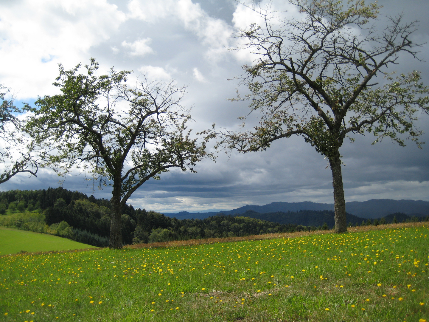 Wolkenschauspiel im Schwarzwald