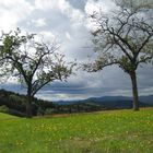 Wolkenschauspiel im Schwarzwald