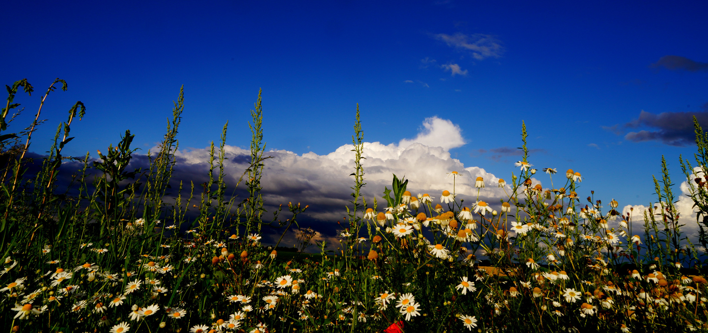 Wolkenschauspiel Natur21