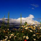 Wolkenschauspiel Natur21