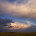 Wolkenschauspiel über dem Rapsfeld