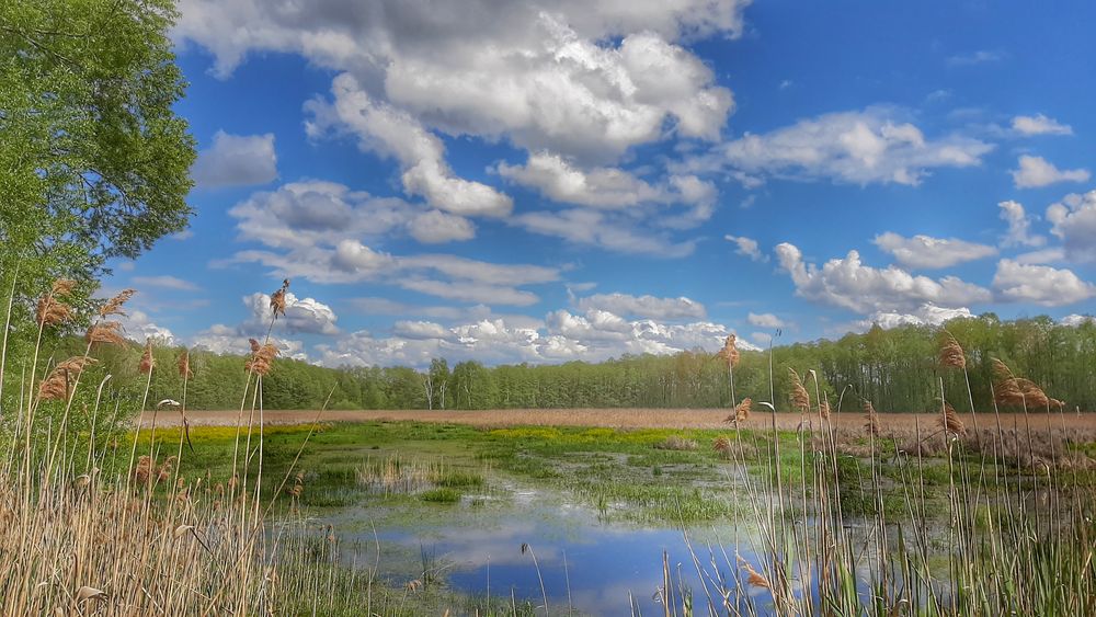 Wolkenschiffe über Lausitzer Teich Foto & Bild landschaft, bach