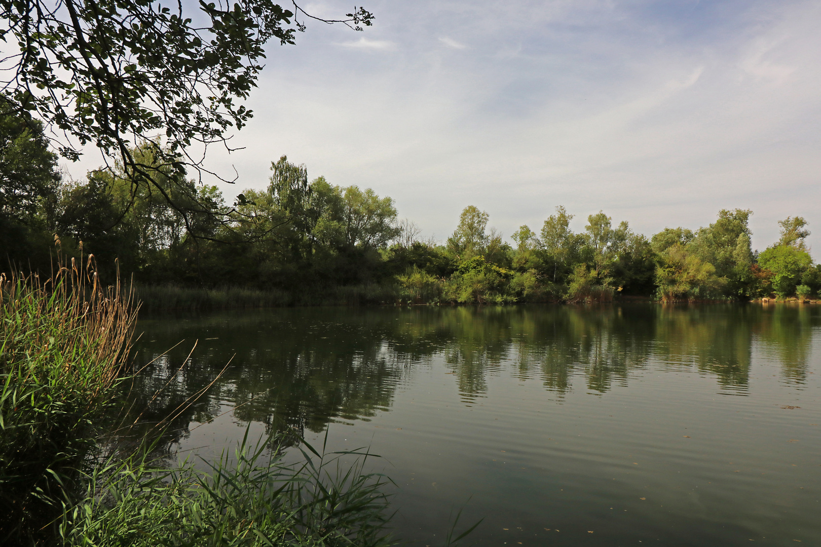 Wolkenschleier über dem Teich