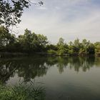 Wolkenschleier über dem Teich