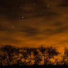 Wolkenschleier vor den Sternen