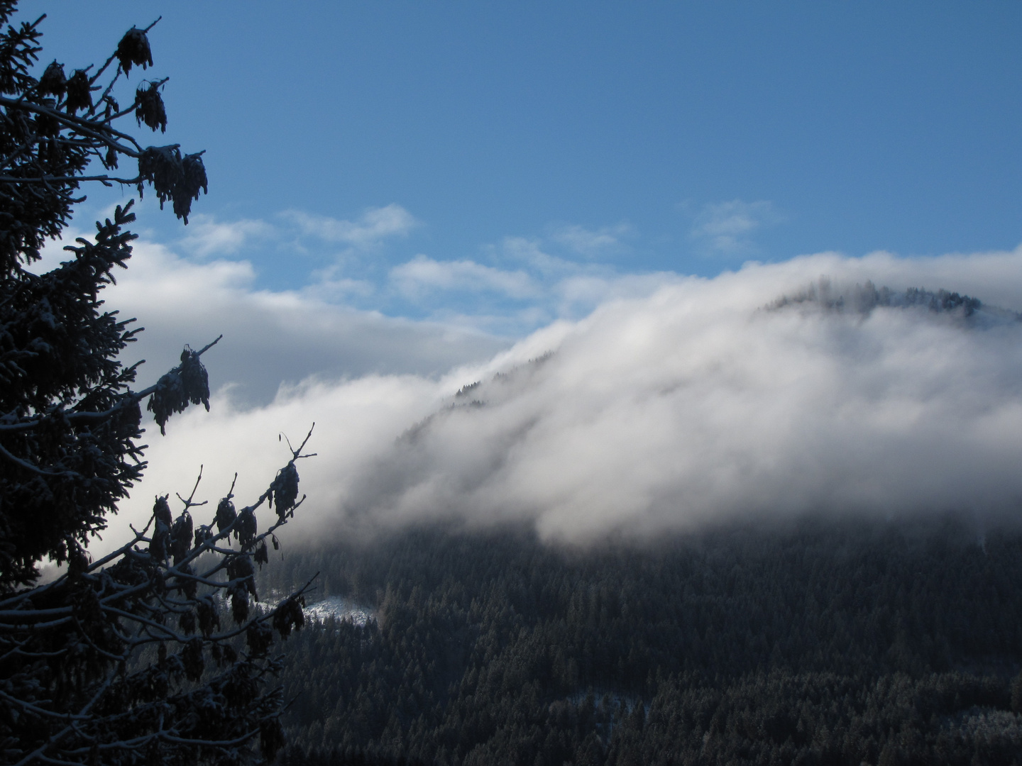 Wolkenschlucht