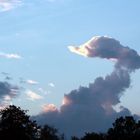 Wolkenschwan